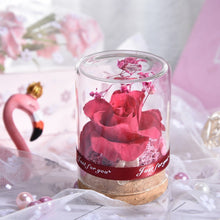 Load image into Gallery viewer, Eternal Rose Real Flower Valentine&#39;s Day Dried Flower Rose Beauty and The Beast Led Eternal Rose In Glass Mothers Day Gift Rose