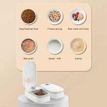 Load image into Gallery viewer, Automatic Pet Feeder Smart Food Dispenser For Cats Dogs Timer Stainless Steel Bowl Auto Dog Cat Pet Feeding Pets Supplies