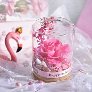 Eternal Rose Real Flower Valentine's Day Dried Flower Rose Beauty and The Beast Led Eternal Rose In Glass Mothers Day Gift Rose