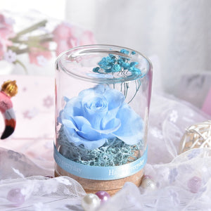 Eternal Rose Real Flower Valentine's Day Dried Flower Rose Beauty and The Beast Led Eternal Rose In Glass Mothers Day Gift Rose