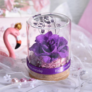 Eternal Rose Real Flower Valentine's Day Dried Flower Rose Beauty and The Beast Led Eternal Rose In Glass Mothers Day Gift Rose