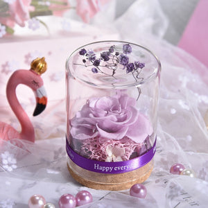 Eternal Rose Real Flower Valentine's Day Dried Flower Rose Beauty and The Beast Led Eternal Rose In Glass Mothers Day Gift Rose