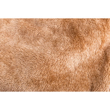 Load image into Gallery viewer, Fleece Warm Thick Winter Faux Leather PU Motorcycle Jacket