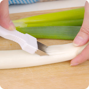 Kitchen chopping onion