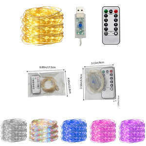 explosion models remote copper copper string lights 100LED low voltage waterproof Christmas day lights cross-border lights