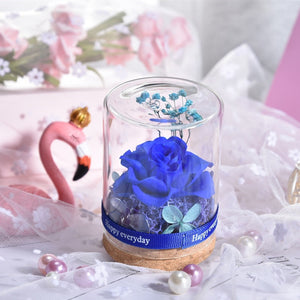 Eternal Rose Real Flower Valentine's Day Dried Flower Rose Beauty and The Beast Led Eternal Rose In Glass Mothers Day Gift Rose