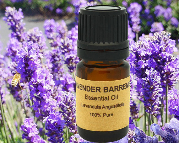Lavender Essential  from France, Region of