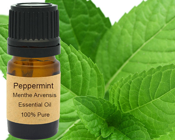 Peppermint Essential Oil  15ml