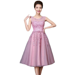 New Lace Short Evening Dresses Perspective Backless Fashion Party Prom Formal Dress
